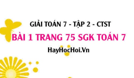 Giải bài 1 trang 75 Toán 7 tập 2 SGK Chân trời sáng tạo